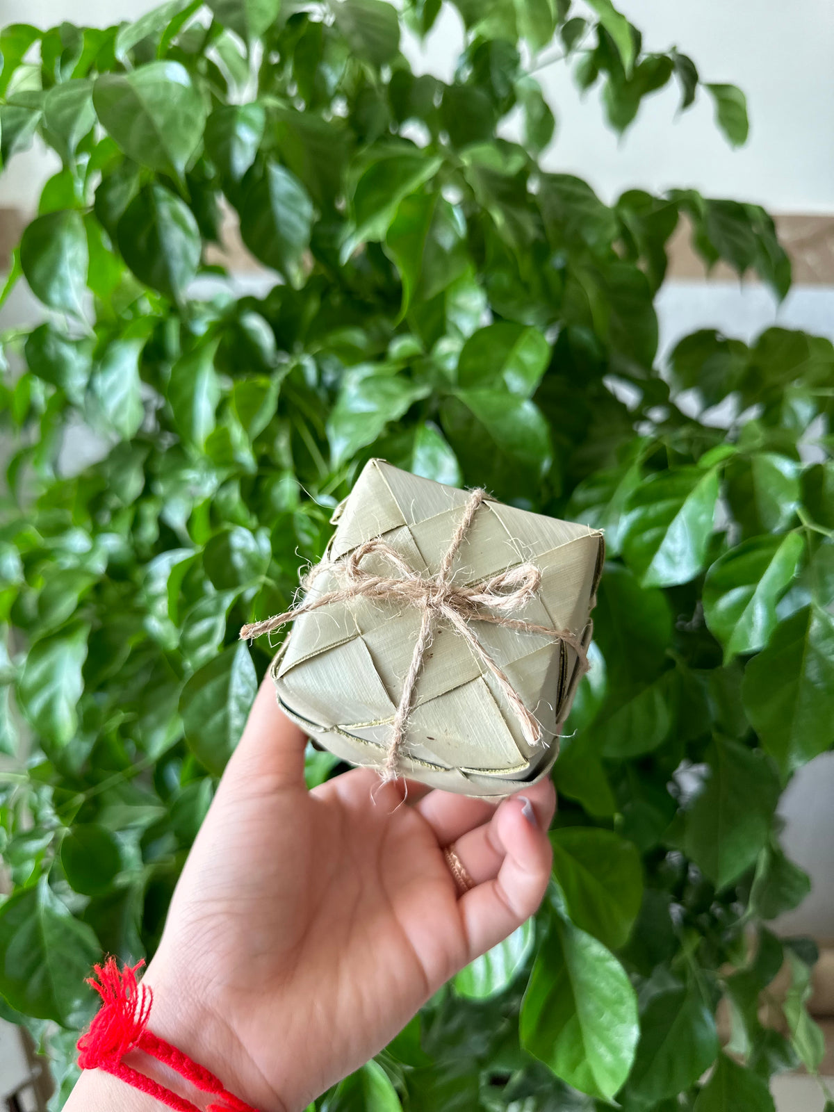 Pack - Khmer Smok (ស្នុគស្លឹកត្នោត)
