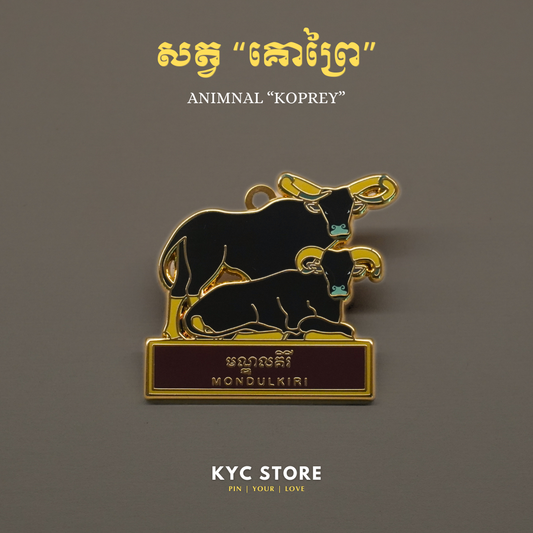 Province Mondulkiri (ខេត្តមណ្ឌលគីរី)