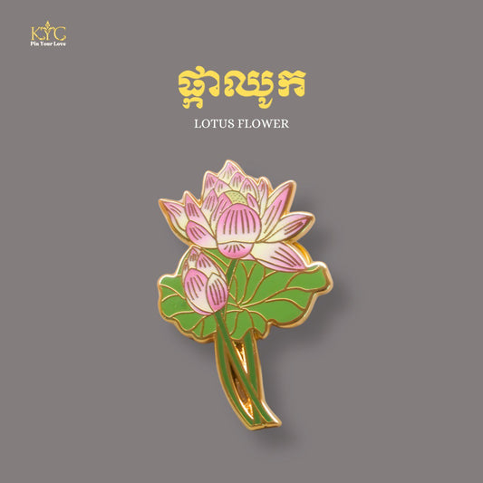 Lotus flower (ផ្កាឈូក)