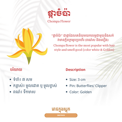 Khmer - Chompa Flower (ផ្កាចំប៉ា)